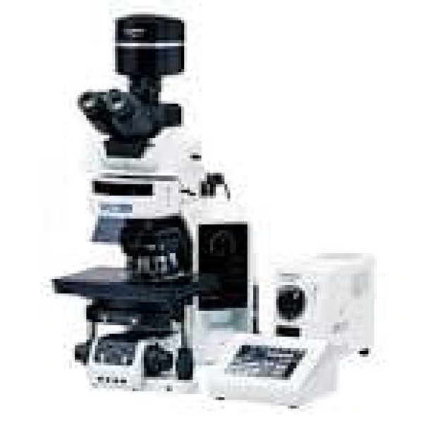 fluoroscense-microscope fluoroscense-microscope